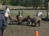 september2009072_small.jpg