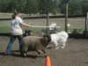 september2009073_small.jpg