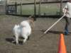 september2009074_small.jpg
