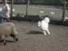 september2009076_small.jpg