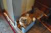 dsc_0005_small.jpg