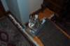 dsc_0006_small.jpg