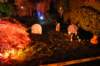 dsc_0068_small.jpg