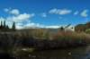 dsc_0017_small.jpg