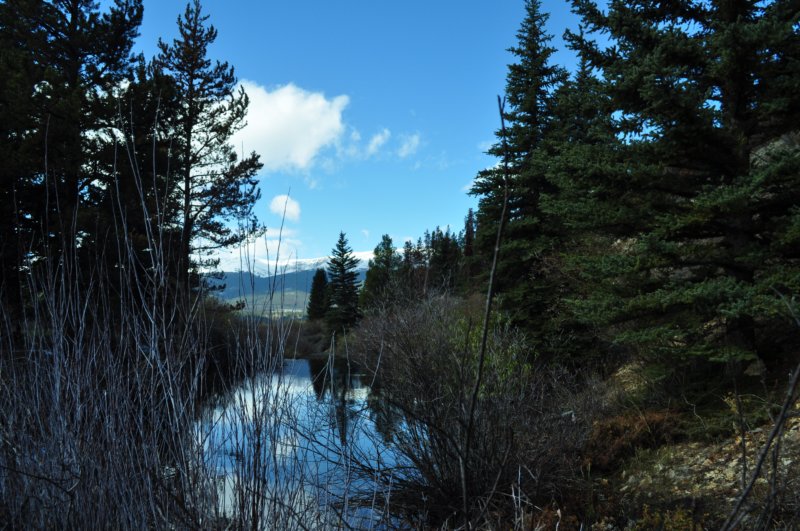 dsc_0025.jpg