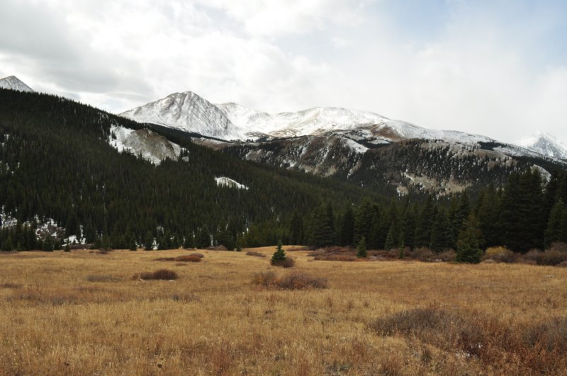 dsc_0041.jpg