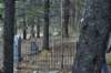 dsc_0068_small.jpg