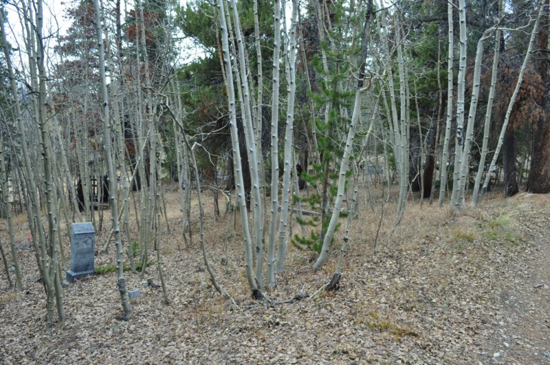 dsc_0070.jpg