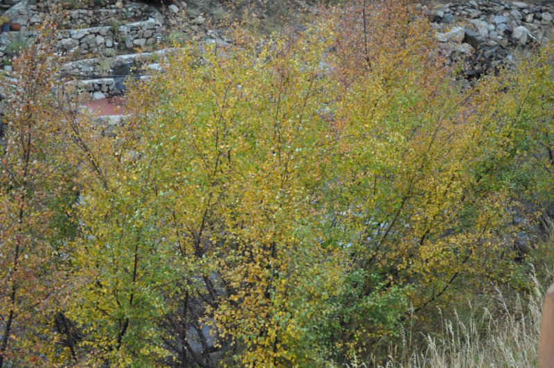 dsc_0145.jpg