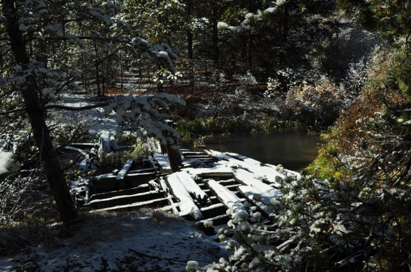 dsc_0195.jpg