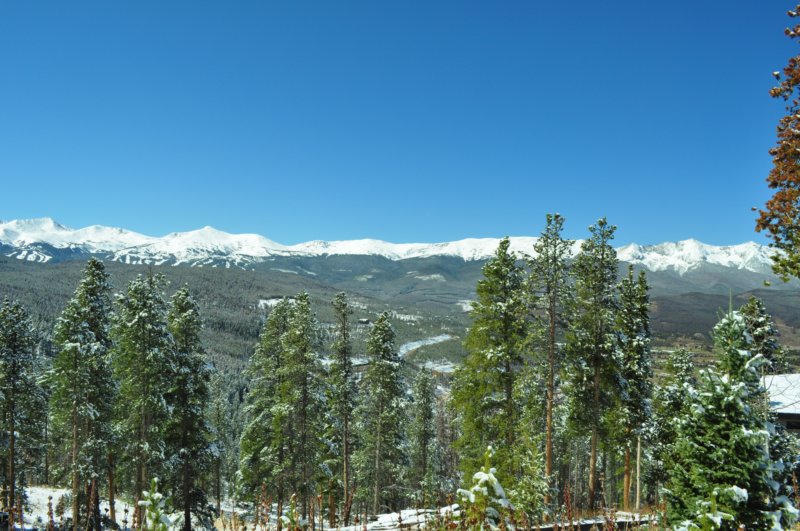 dsc_0207.jpg