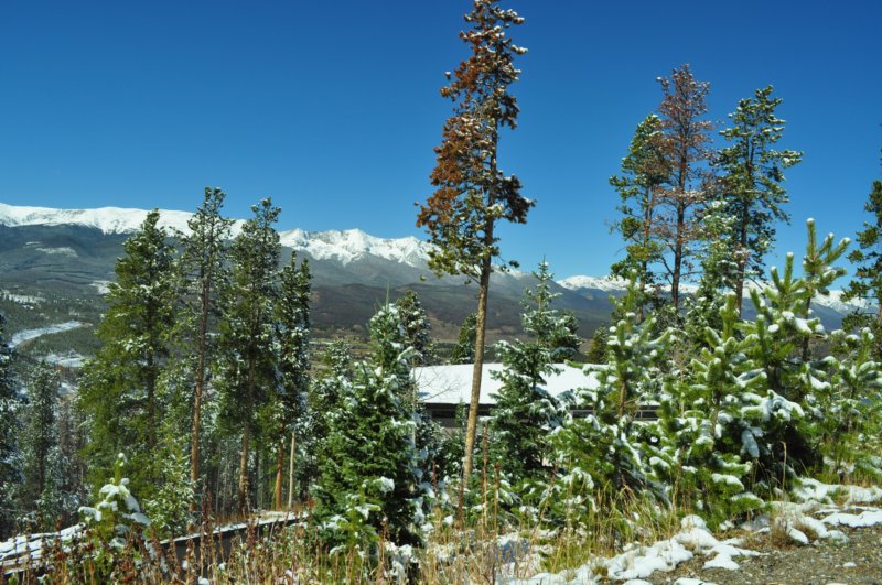 dsc_0208.jpg