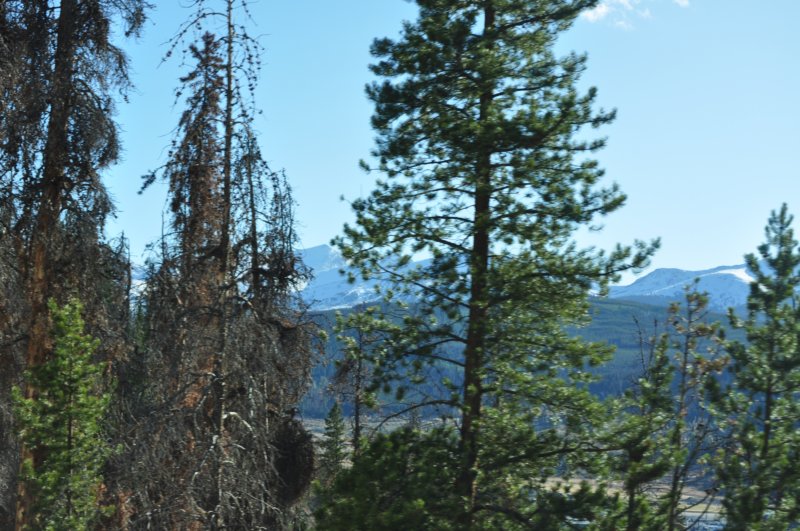 dsc_0243.jpg