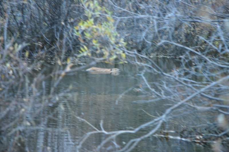 dsc_9803.jpg