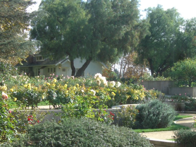cimg5343.jpg