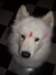 cimg5363_small.jpg