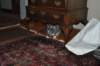 dsc_0051_small.jpg