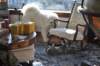 dsc_0061_small.jpg