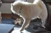 dsc_0066_small.jpg