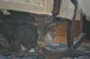 dsc_0068_small.jpg