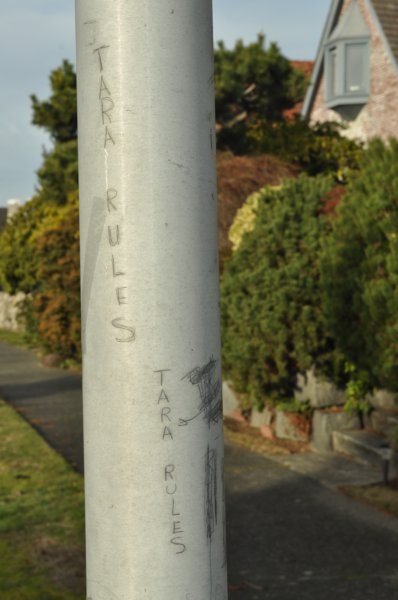 dsc_0001.jpg