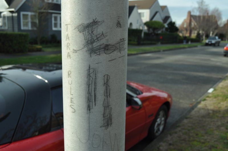 dsc_0003.jpg
