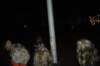 dsc_0071_small.jpg
