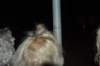dsc_0072_small.jpg
